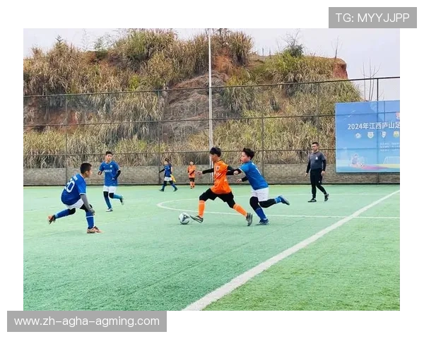 足球青训与羽球学院：青少年体教融合创新模式探索